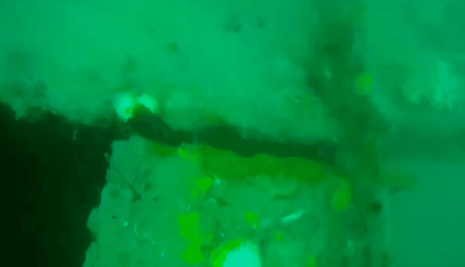 Video 4